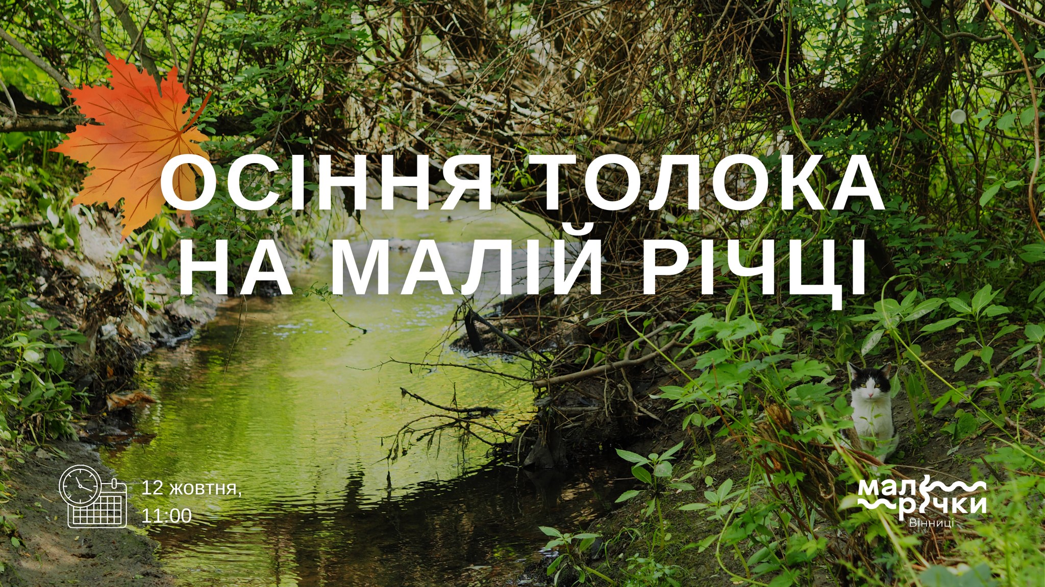 Вінничан запрошують долучитись до осінньої толоки на малій річці Калічі – афіша заходу