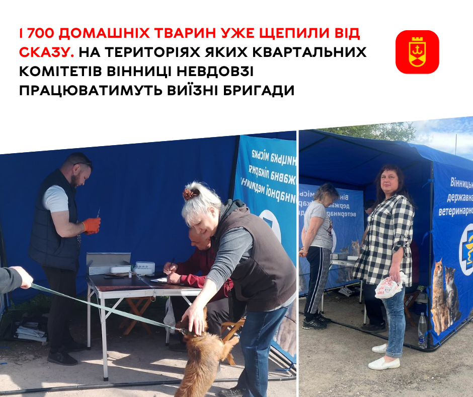 1700 домашніх тварин уже щепили від сказу. На територіях яких квартальних комітетів Вінниці невдовзі працюватимуть виїзні бригади