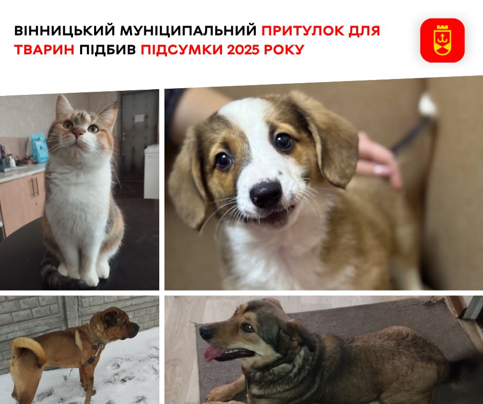 Вінницький муніципальний притулок для тварин підбив підсумки 2025 року