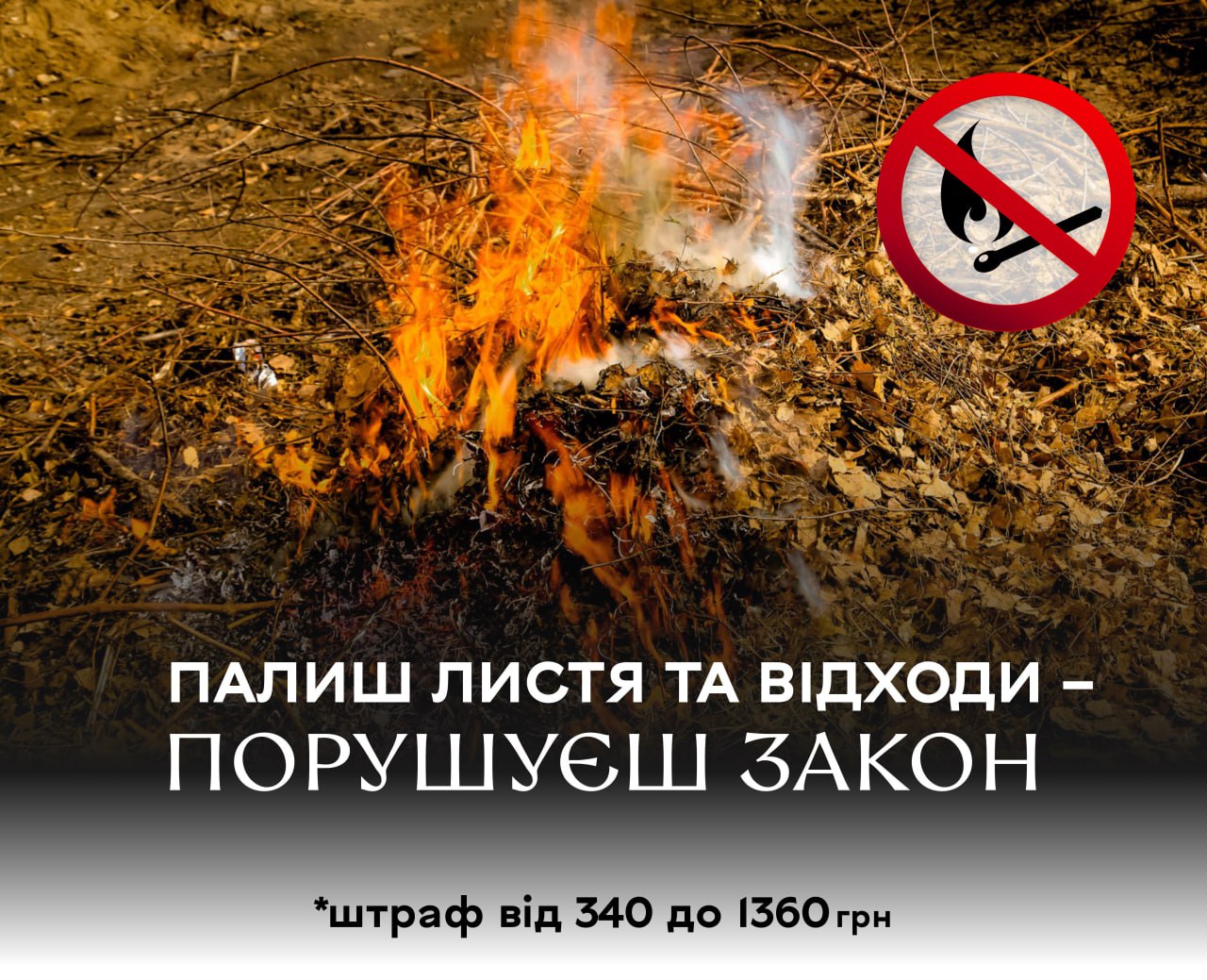 Вінничанам нагадують про заборону спалювання сухої рослинності