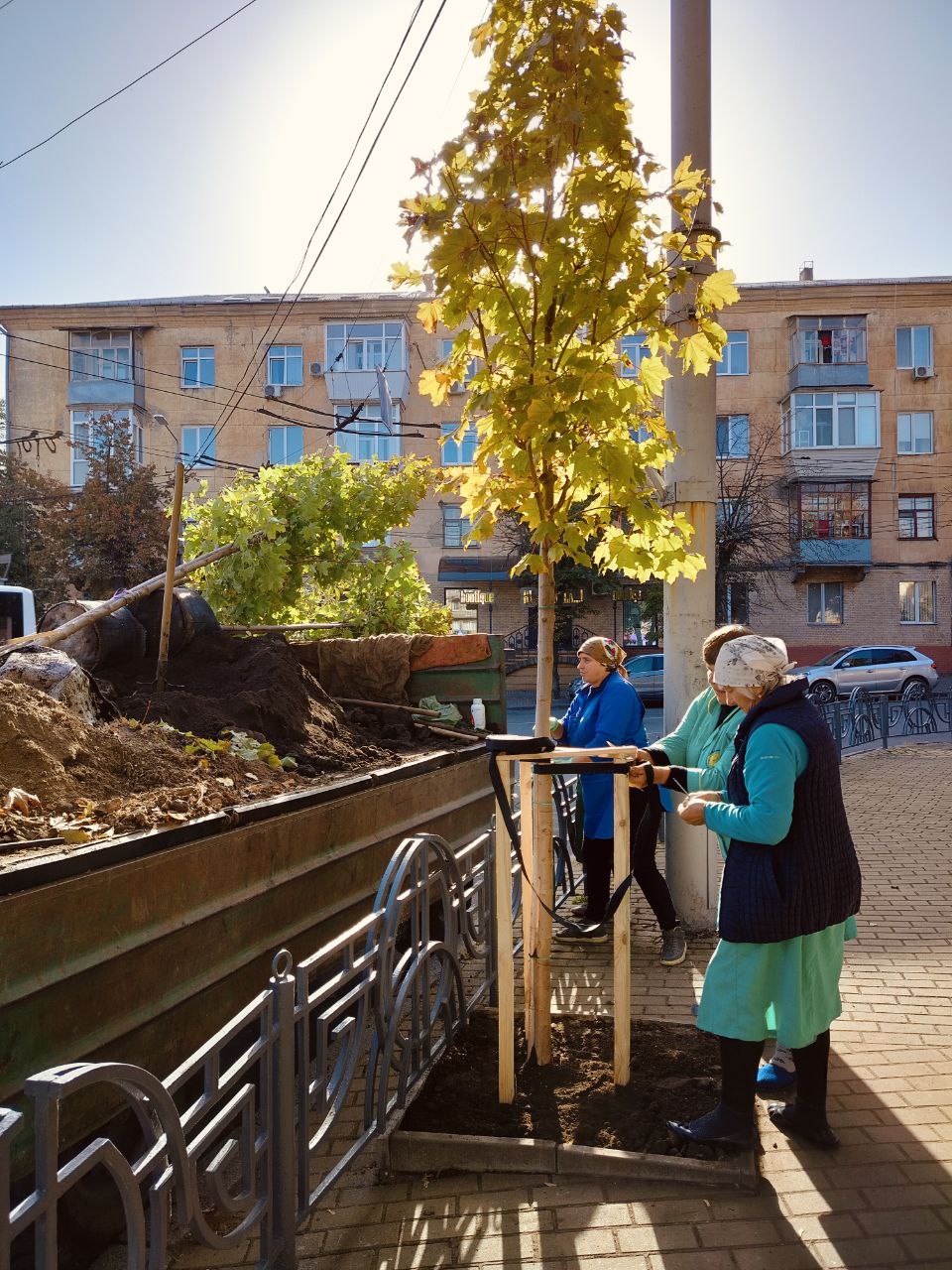 Клени, сакури та в'язи. У Вінниці розпочали осінню кампанію з озеленення міста. Загалом зелені насадження оновлять на близько 20 вулицях