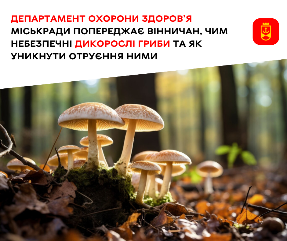 Чим небезпечні дикорослі гриби та як уникнути отруєння ними – ілюстративне зображення